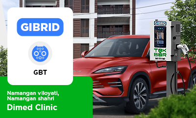 TOKBOR GIBRID GBT charging station at the parking lot of "Dimed Clinic"